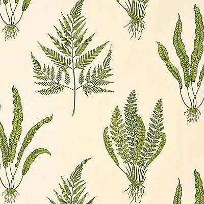 Woodland Ferns Green