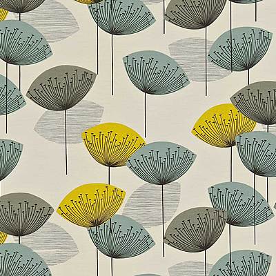 Dandelion Clocks Chaffinch