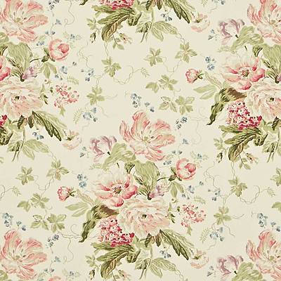 Alsace Cream / Rose
