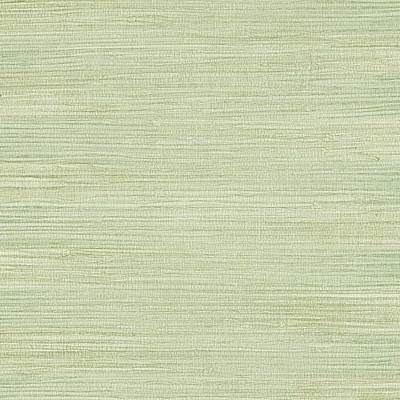 Kensington Grasscloth Evergreen