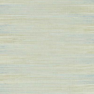 Kensington Grasscloth Indigo Wash