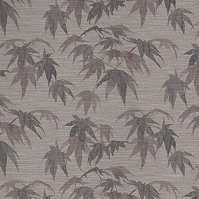 Acer Red Wood Teal