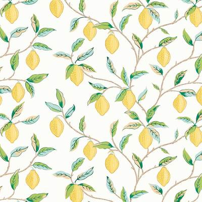 Lemon Tree Lemon / Bayleaf