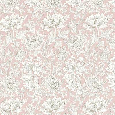 Chrysanthemum Toile Cochineal / Pink