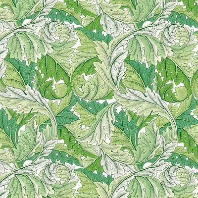 Acanthus Leaf / Green