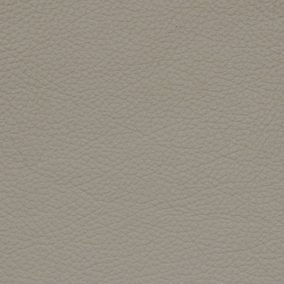 Tennant Plus Limestone