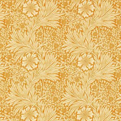 Marigold Cream / Orange