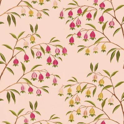 Chinese Lantern Wild Plum