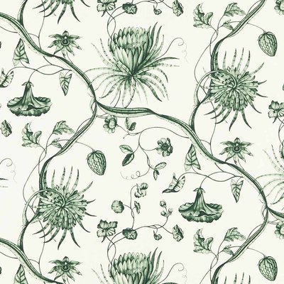 Phaedra Toile Huntsmans Green