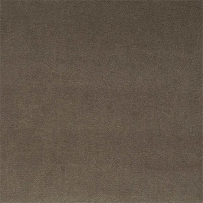 Quartz Velvet Mole