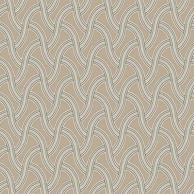 Cosmopolite Taupe