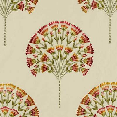 Wild Tulip Amber / Cream