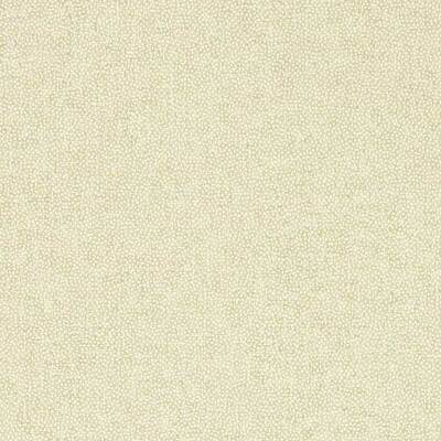 Sessile Plain Birch