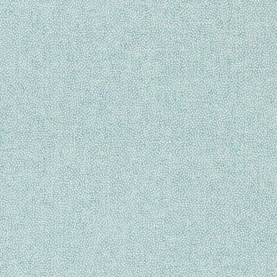 Sessile Plain Dove Blue