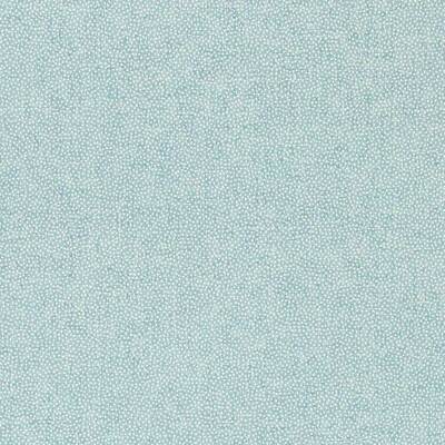 Sessile Plain Dove Blue