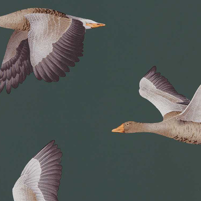 Elysian Geese Amsterdam Green