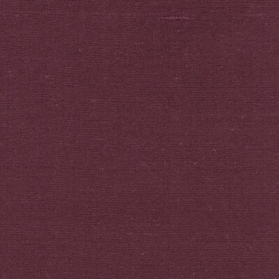 Allegorie Aubergine