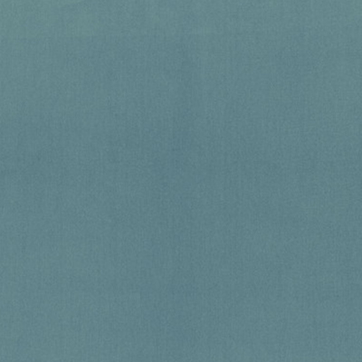 Aime  Bleu Turquin