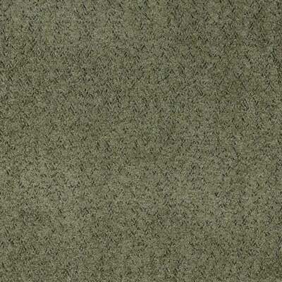 Dido Taupe