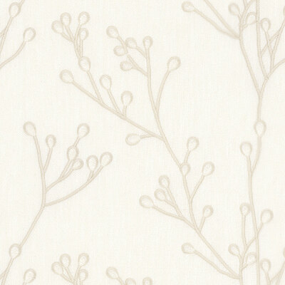 Papille Neige