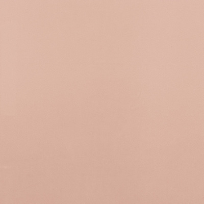 Coulisse Nude