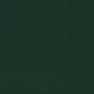 Coulisse Vert Bouteille