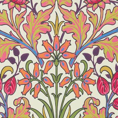 Hyacinth Cosmo Pink