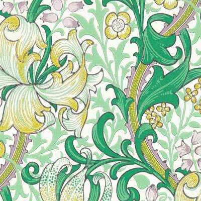 Golden Lily Secret Garden