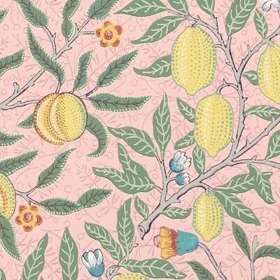 Fruit Stardust