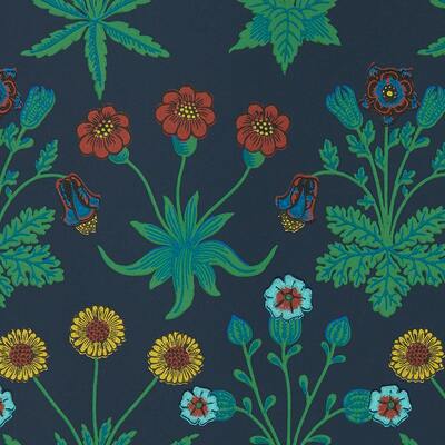 Daisy Midnight