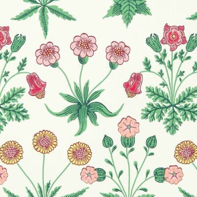 Daisy Strawberry Fields
