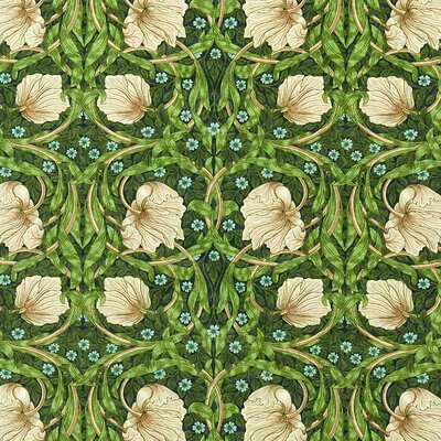 Pimpernel Midnight Fields