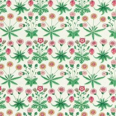 Daisy Strawberry Fields