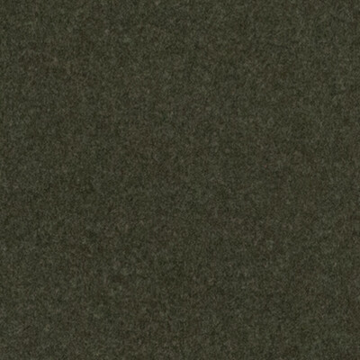 Ankara Frond