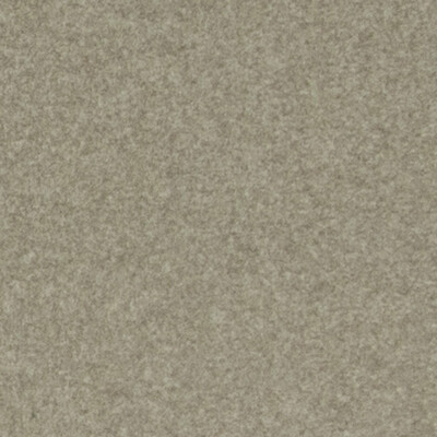 Ankara Driftwood