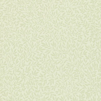 Standen Canvas