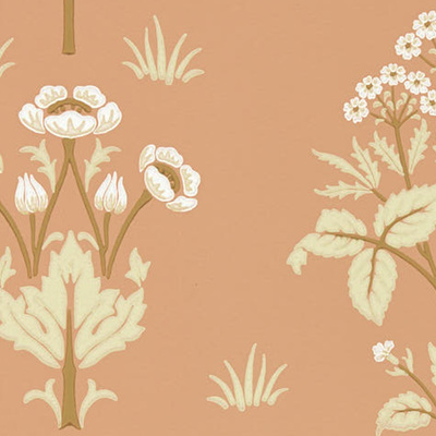 Meadow Sweet Blush