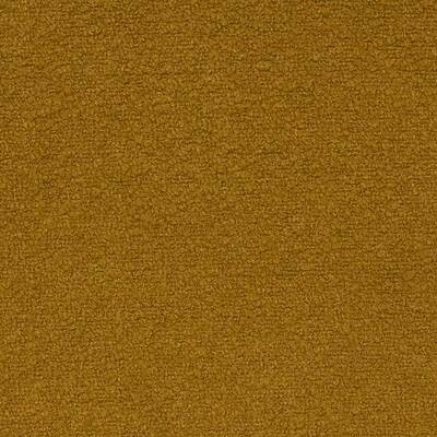 Orlando Ochre