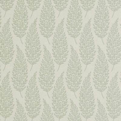 Elm Fennel