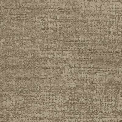 Catinaccio Chamois