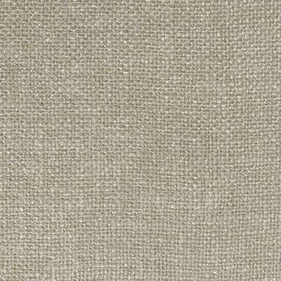 Hinterland Feathergrass