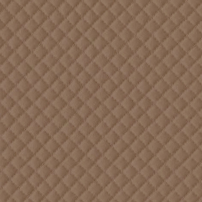 Quantum Terra