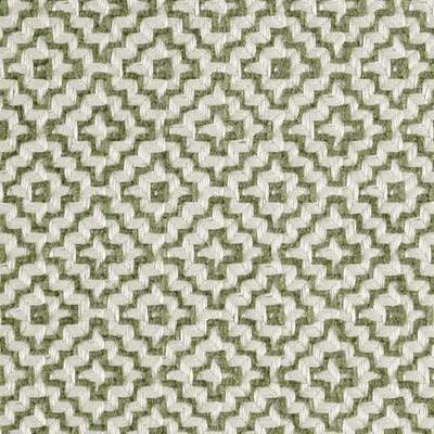 Linden Celadon