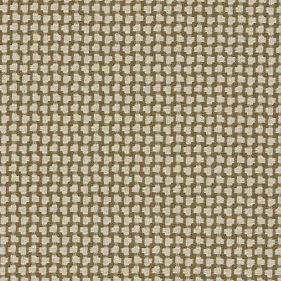Fen Olive