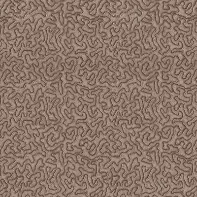 Maze Sable