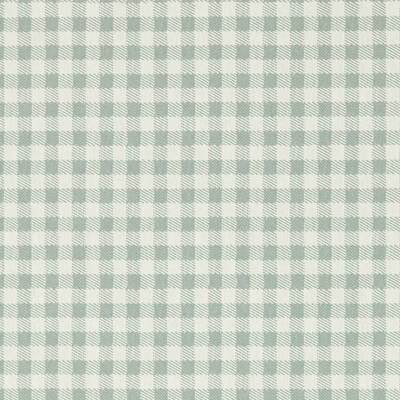 Gingham Duck Blue