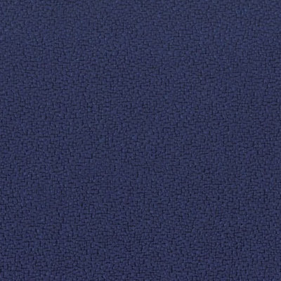 Fiesta Indigo