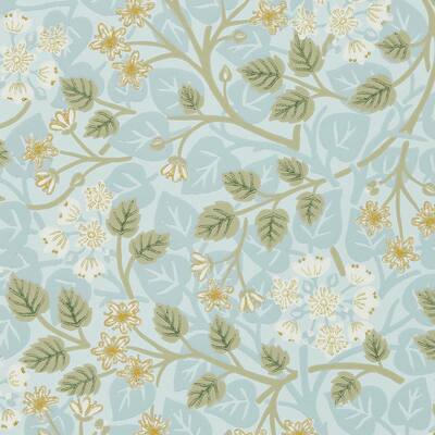 Silver Lime Mineral/Gooseberry 