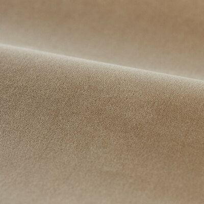 Performance Cotton Velvet Parchment
