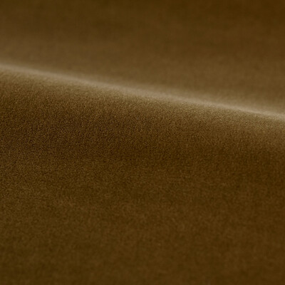 Performance Cotton Velvet Camel